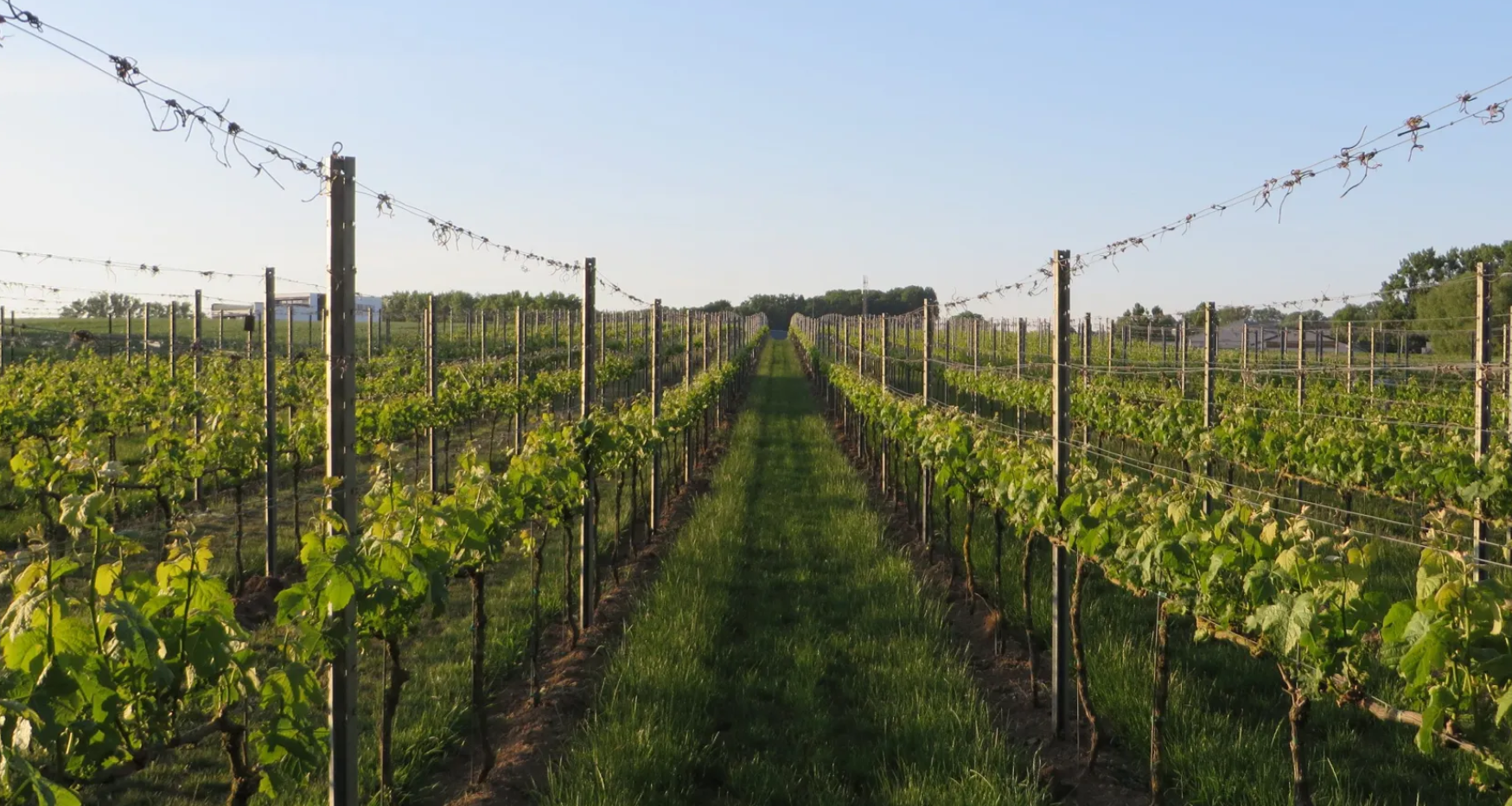 Bodegas Altun